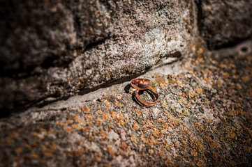 Wedding gold rings on brown background