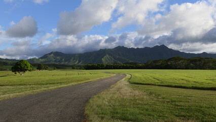 Kauai, the garden island of Hawaii