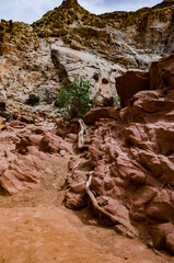 Eroded by water and wind cliffs in the canyon. Little Wild Horse Canyon. San Rafael Swell, Utah