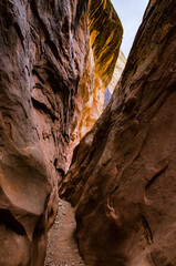 Eroded by water and wind cliffs in the canyon. Little Wild Horse Canyon. San Rafael Swell, Utah