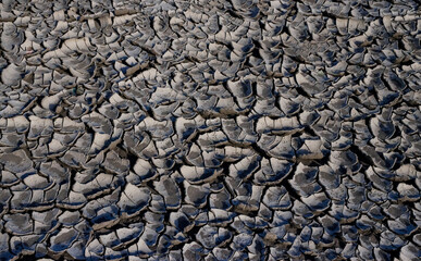 A pattern on dried silt. Dry land in the desert, Utah US