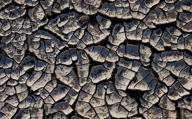 A pattern on dried silt. Dry land in the desert, Utah US