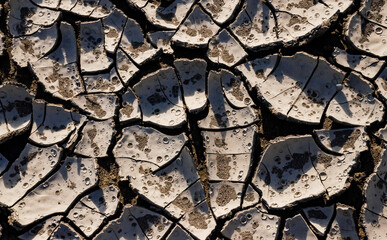 A pattern on dried silt. Dry land in the desert, Utah US