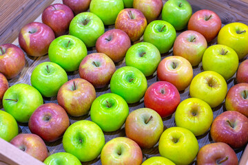 Apples in Rows