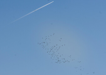 Karnische am Himmel