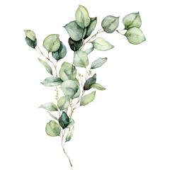 Watercolor floral card of eucalyptus leaves, seeds and branches. Hand painted silver dollar eucalyptus bouquet isolated on white background. Illustration for design, print, fabric or background. © yuliya_derbisheva