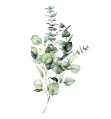 Watercolor floral card of eucalyptus leaves, branches and seeds. Hand painted silver dollar eucalyptus bouquet isolated on white background. Ilustration for design, print, fabric or background. - obrazy, fototapety, plakaty