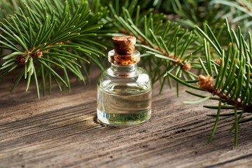 Obraz na płótnie Canvas A bottle of spruce essential oil with fresh spruce branches