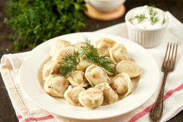 Homemade handmade dumplings, organic from farm meat with herbs and sauce, Russian national cuisine
