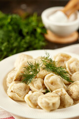 Homemade handmade dumplings, organic from farm meat with herbs and sauce, Russian national cuisine
