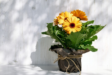 Yellow gerbera in a flower pot wrapped in brown recycled paper on white wooden background in a...