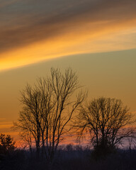Fototapeta na wymiar Arching clouds against a setting sun