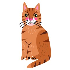 Vector cute illustration of a Red Amsterdam Cat. Cat Illustration Isolated on a white Background.