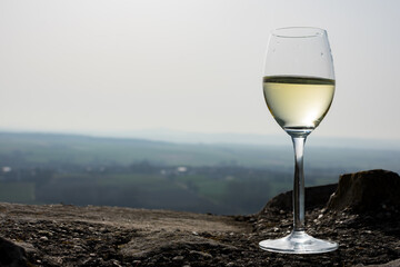 glass of white wine