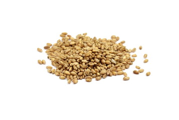 Wheat grains isolated on white background. 