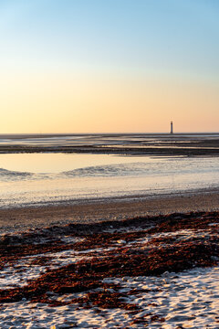 Chauveau lighthouse, isle of Re, at sunrise during low tide. red seaweed on the beach