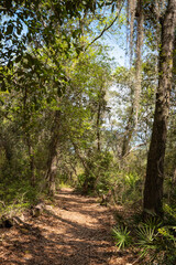 Beautiful walking path in a nature Park