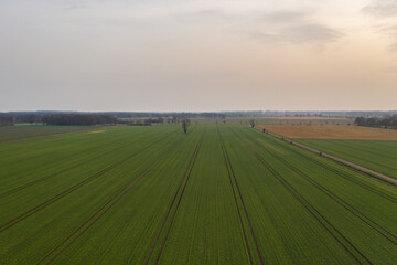 Obraz premium Aerial view on farm field at sunset