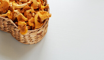 Vegetarian cuisine.Busket of chanterelle mushrooms.