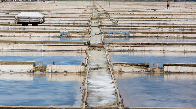 traditional salt production at Piran Salt Pans, established in 804
