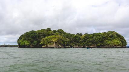 Fototapeta na wymiar Coast and beaches, with forests and tropical jungles, in the Uramba National Natural Park in Buenaventura, Valle del Cauca, Colombia. Colombian Pacific. Pacific Ocean.