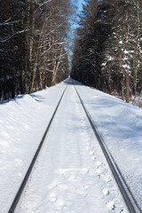 Railroad lane in the daytime in the winter forest, perspective.