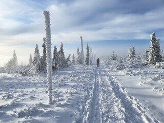 a group of cross-country skiers riding along a trail on a mountain ridge