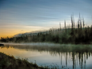 Mistic and surreal landscape with pine trees reflected in the Yellowstone River in Yellowstone National Park at sunrise with low fog, Wyoming, United States.