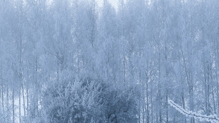 Naklejka premium winter river in snowfall and snow tree