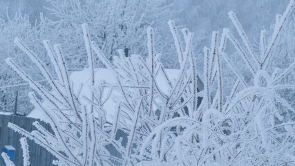 winter river in snowfall and snow tree