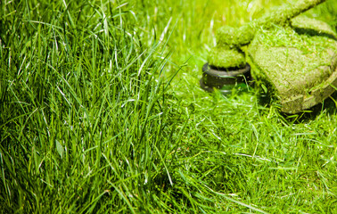 mowing a green lawn with a lawn mower