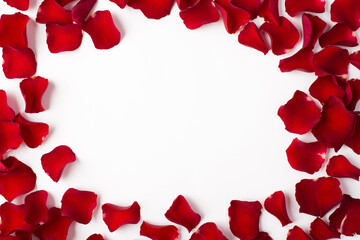 Photo overhead of roses and petals isolated on the white background