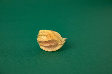 Juicy physialis fruit on the green background