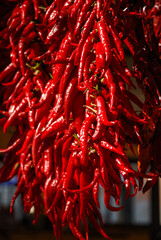 Naklejka premium Dry Red peppers