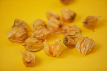 Juicy physalis fruit on the yellow background