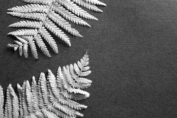 Flat lay fern leaves on paper background black and white processing