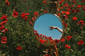 reflection of a woman's hand in a round mirror that stands on a wooden easel against the background of a poppy field