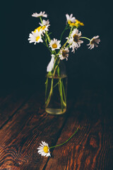 Small bouquet of wild chamomile flowers in glass vase on wooden table