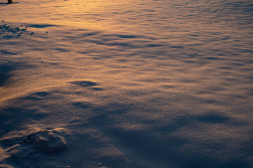 Dappled snow in the light of a winter sunrise