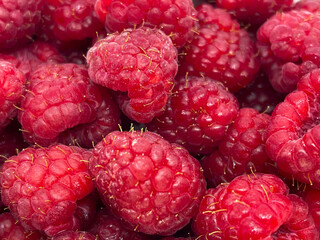 Closeup of Juicy Fresh Raspberries