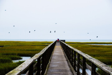 wooden bridge over the river