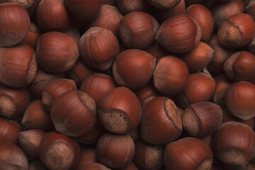 Hazelnuts in the shell, close-up. Background or texture of unpeeled hazelnuts.