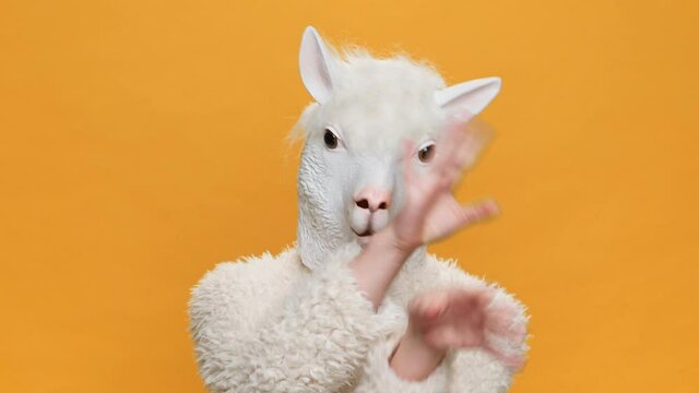 Dancing Funny Young Woman  in Llama head Mask Rhythmically Moving Waving his Head from Forward to Back Music on Yellow Background. Crazy Funny. Happiness Holidays. Face Llama. Positive emotion. Humor