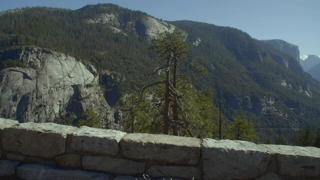 POV Driving Along the Forest at Yosemite National Park in California