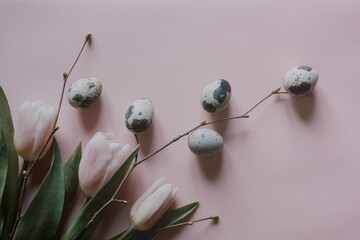 Pale pink Easter background with tulips, spring tree twigs and small eggs. Flat lay, close-up, copy space.