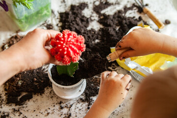 Crop mother and child planting cactus together