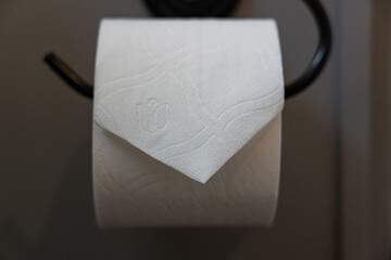 Folded toilet paper roll, closeup