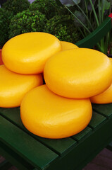 オランダ　アムステルダム　ゴーダチーズ