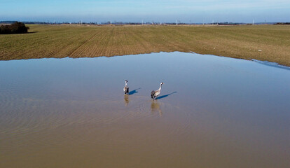 DCIM\101MEDIA\DJI_0375.JPG © Maciej