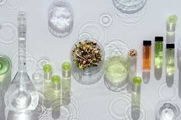 Macrobiotic food. Mix of fresh sprouts in glass jar. Long shadows, water splashes. Nutrition value...